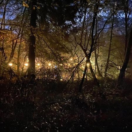 Waldhotel Silbermuehle 호른바트마인베르크 외부 사진