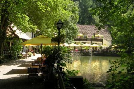 Waldhotel Silbermuehle 호른바트마인베르크 외부 사진